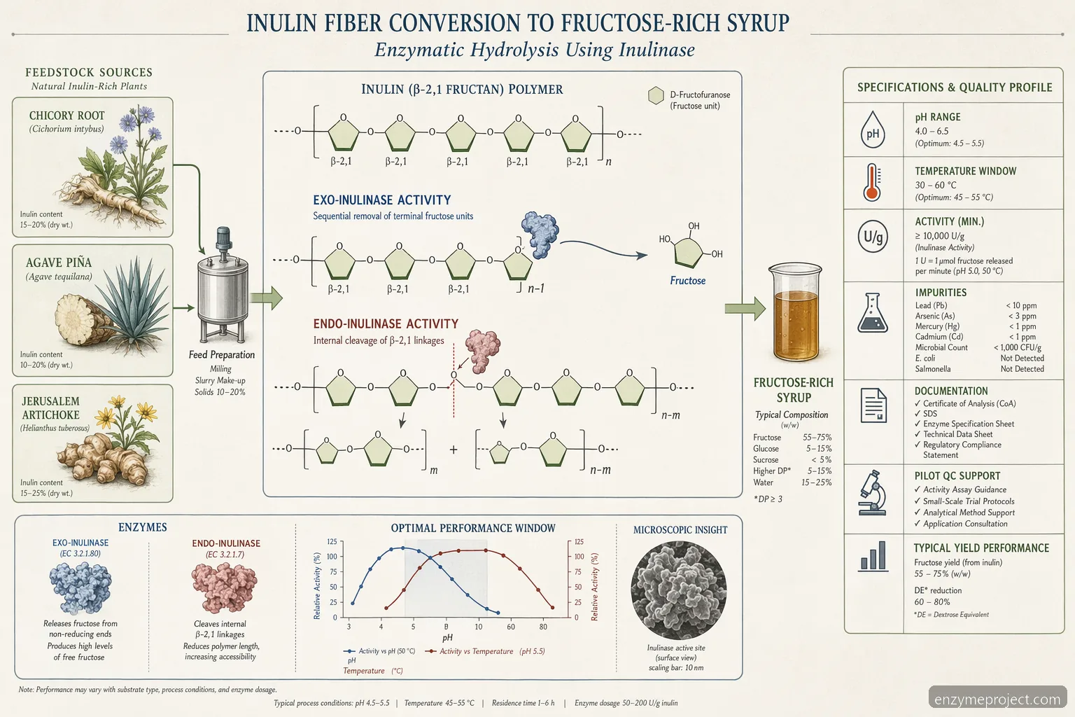 inulin fiber conversion to fructose schematic with exo and endo inulinase arrows, pH and temperature controls