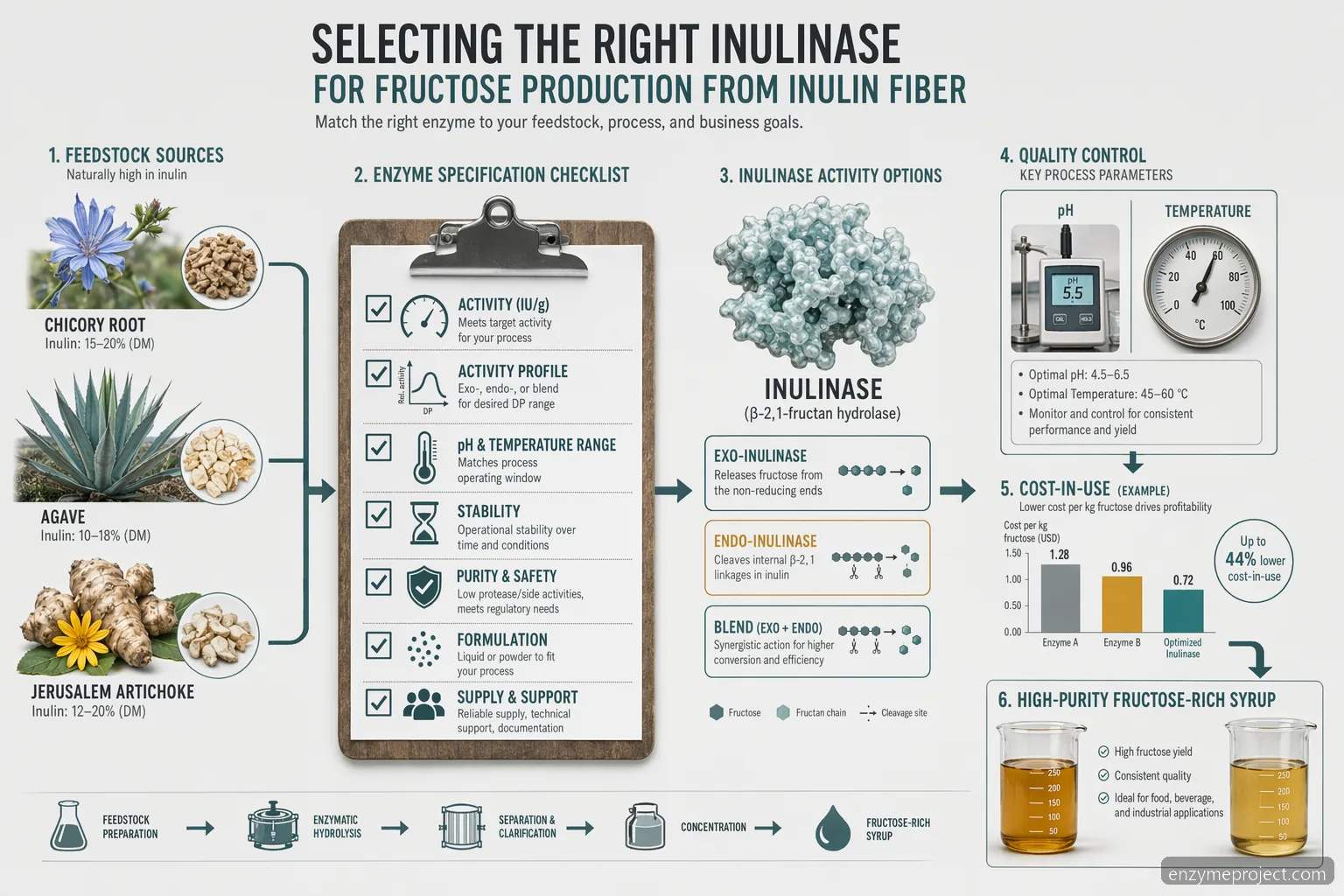 inulin fiber inulinase checklist for fructose production, showing feedstocks, enzyme specs, QC, and cost factors