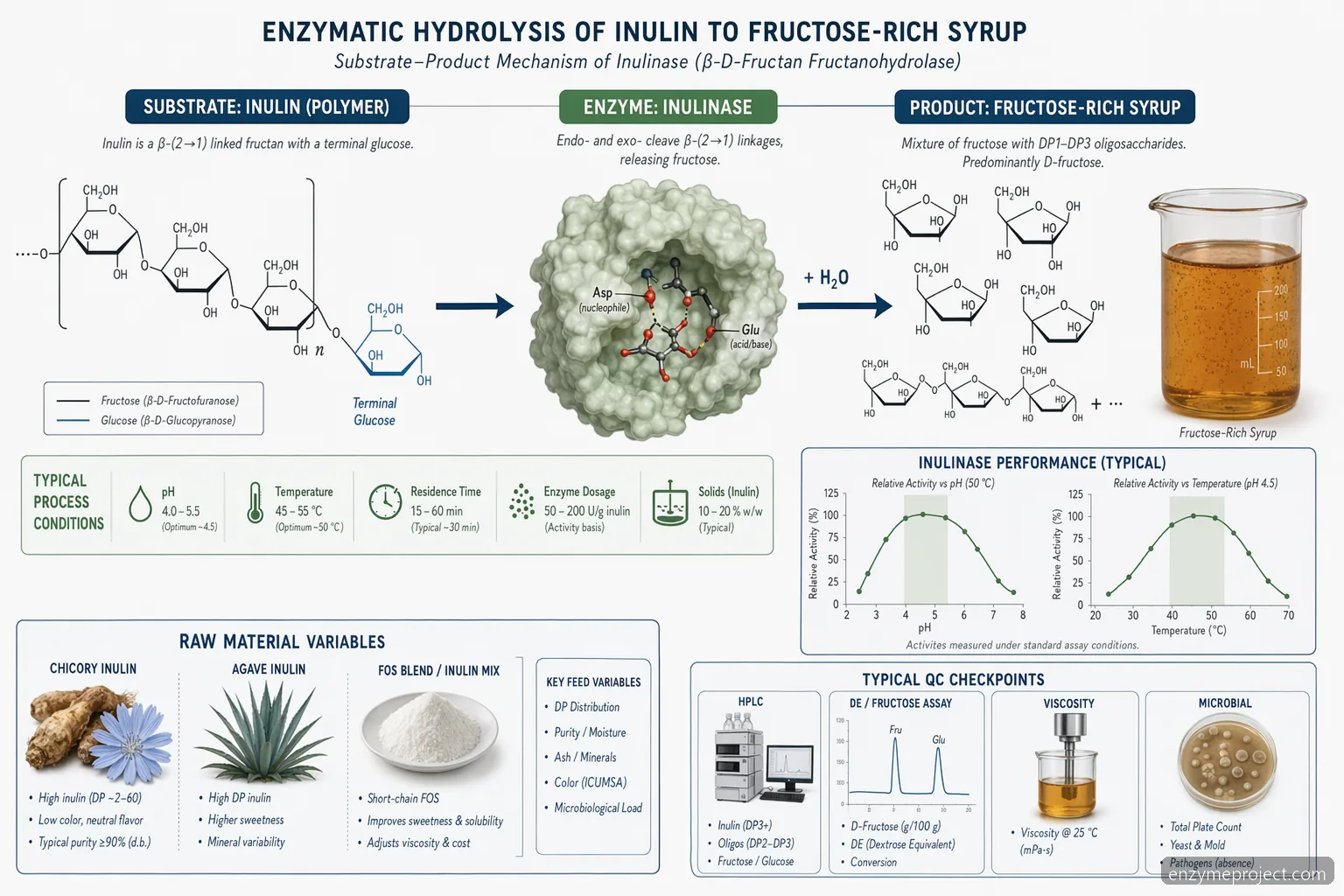 inulin powder inulinase process for fructose syrup, mapping hydrolysis conditions from substrate to product
