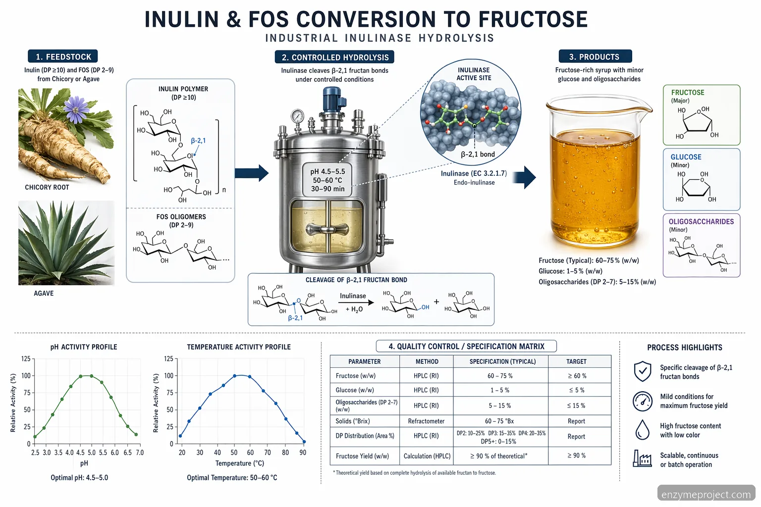 inulin with fos industrial fructose production diagram showing inulinase cleavage, process pH and fructose QC