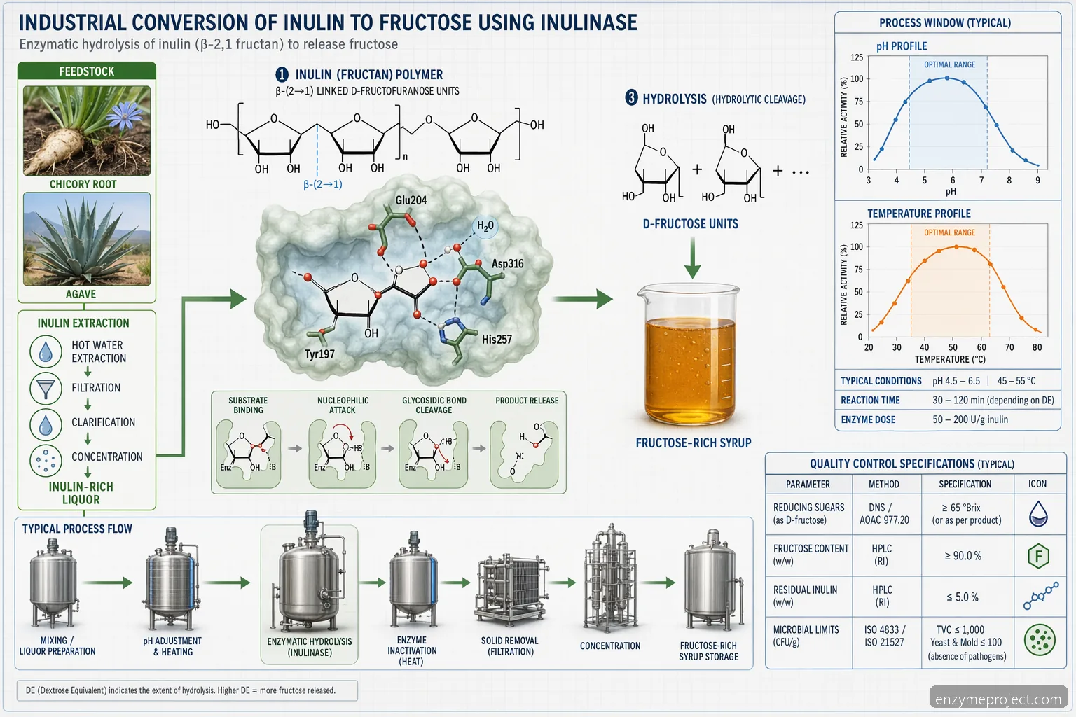 Was ist Inulin? Prozessdiagramm mit inulinase-Hydrolyse von Fructan-Ketten zu Fructose sowie pH- und QC-Panels
